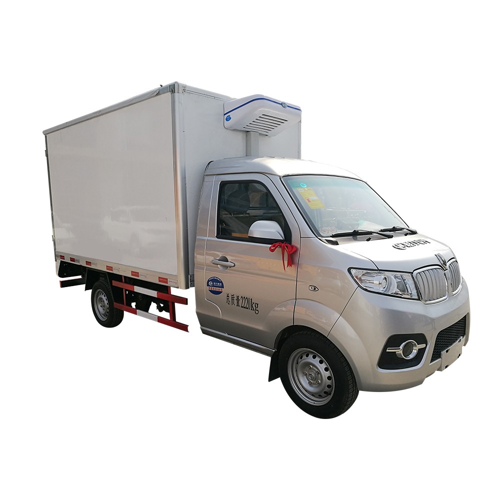 Mini camion congelatore refrigerato da 1 tonnellata