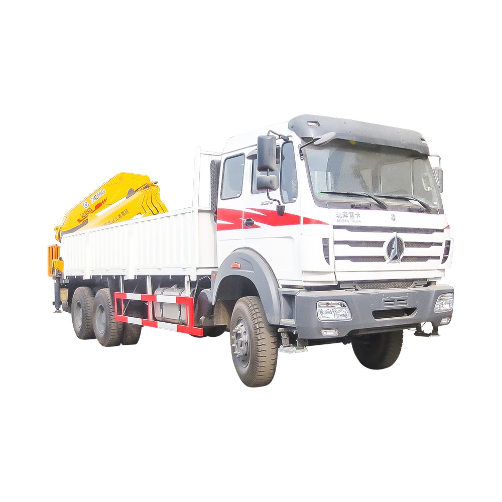 Gru montata su camion da 30 tonnellate